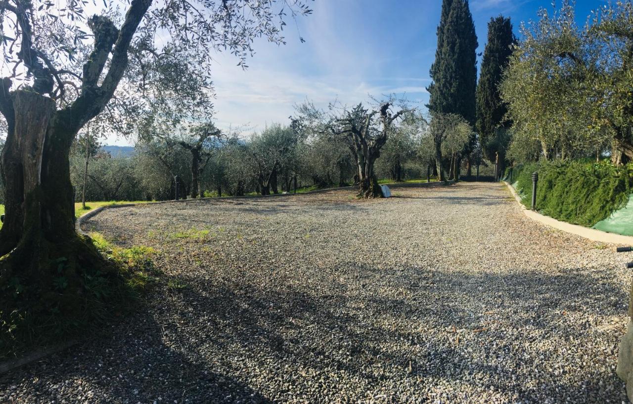 Cozy Tuscany Apartment With View بيسيا المظهر الخارجي الصورة