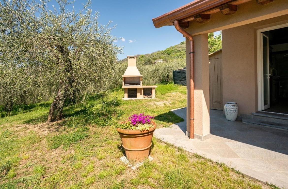 Cozy Tuscany Apartment With View بيسيا المظهر الخارجي الصورة