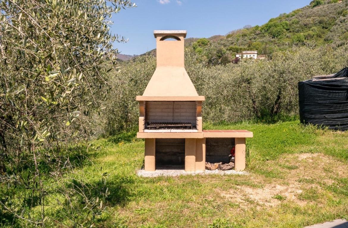 Cozy Tuscany Apartment With View بيسيا المظهر الخارجي الصورة