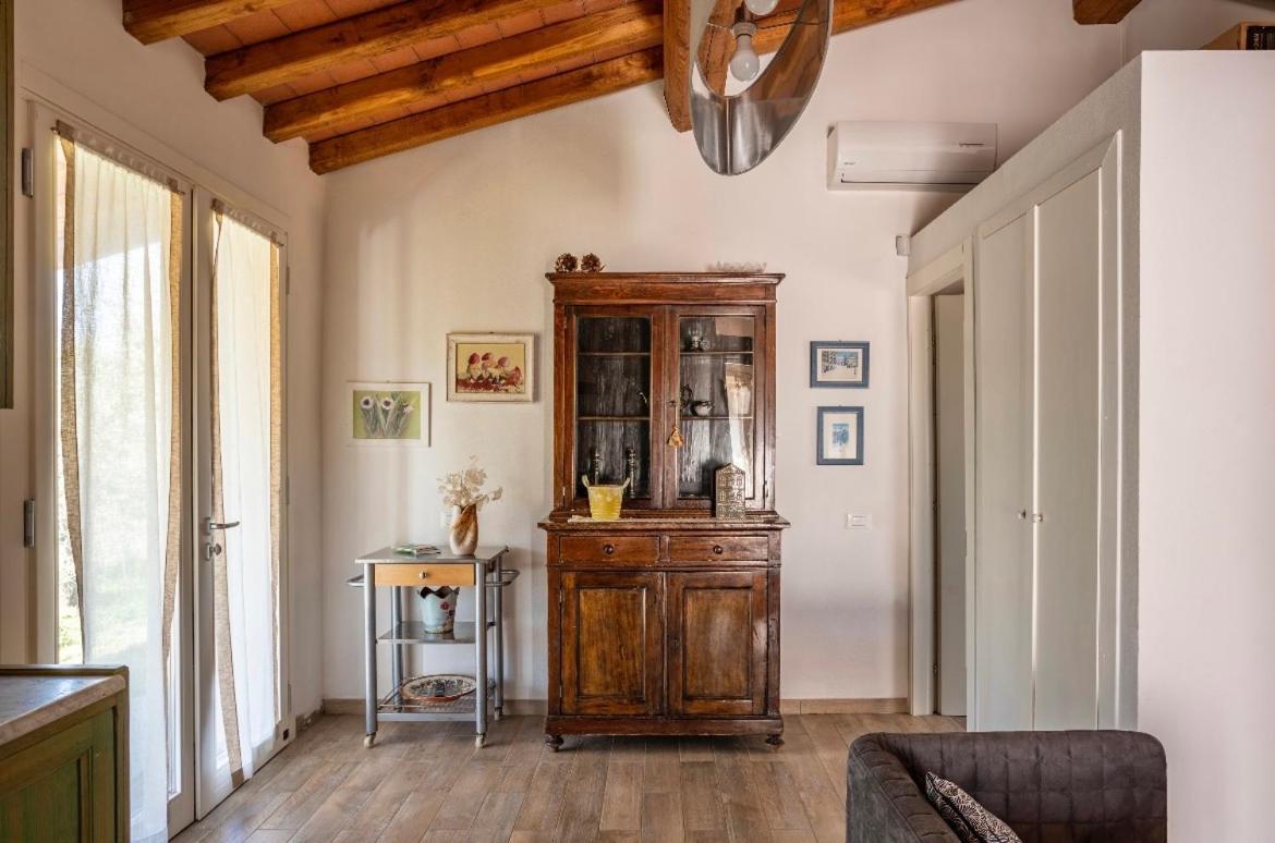 Cozy Tuscany Apartment With View بيسيا المظهر الخارجي الصورة
