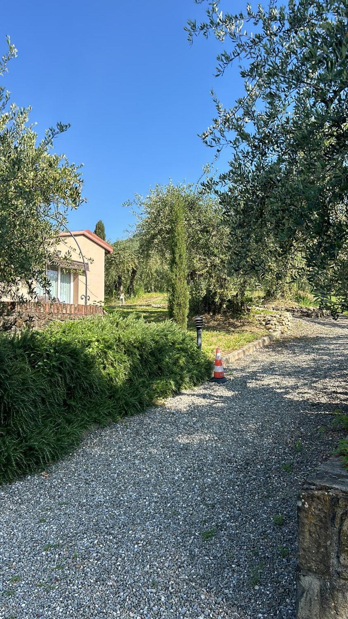 Cozy Tuscany Apartment With View بيسيا المظهر الخارجي الصورة
